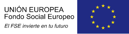 logo FSE